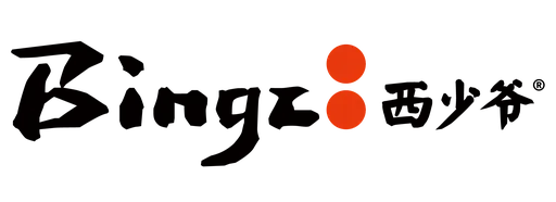 Bingz logo