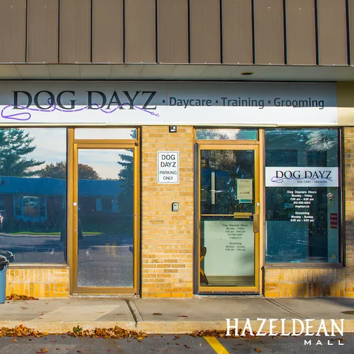 Dog Dayz Dog Care & Training Inc. logo